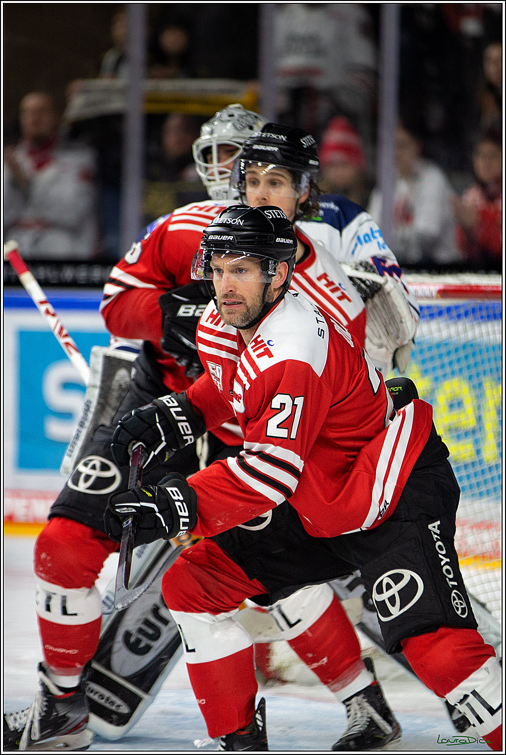 PENNY DEL; Koelner Haie- Iserlohn Roosters; Koeln, 24.01.2023